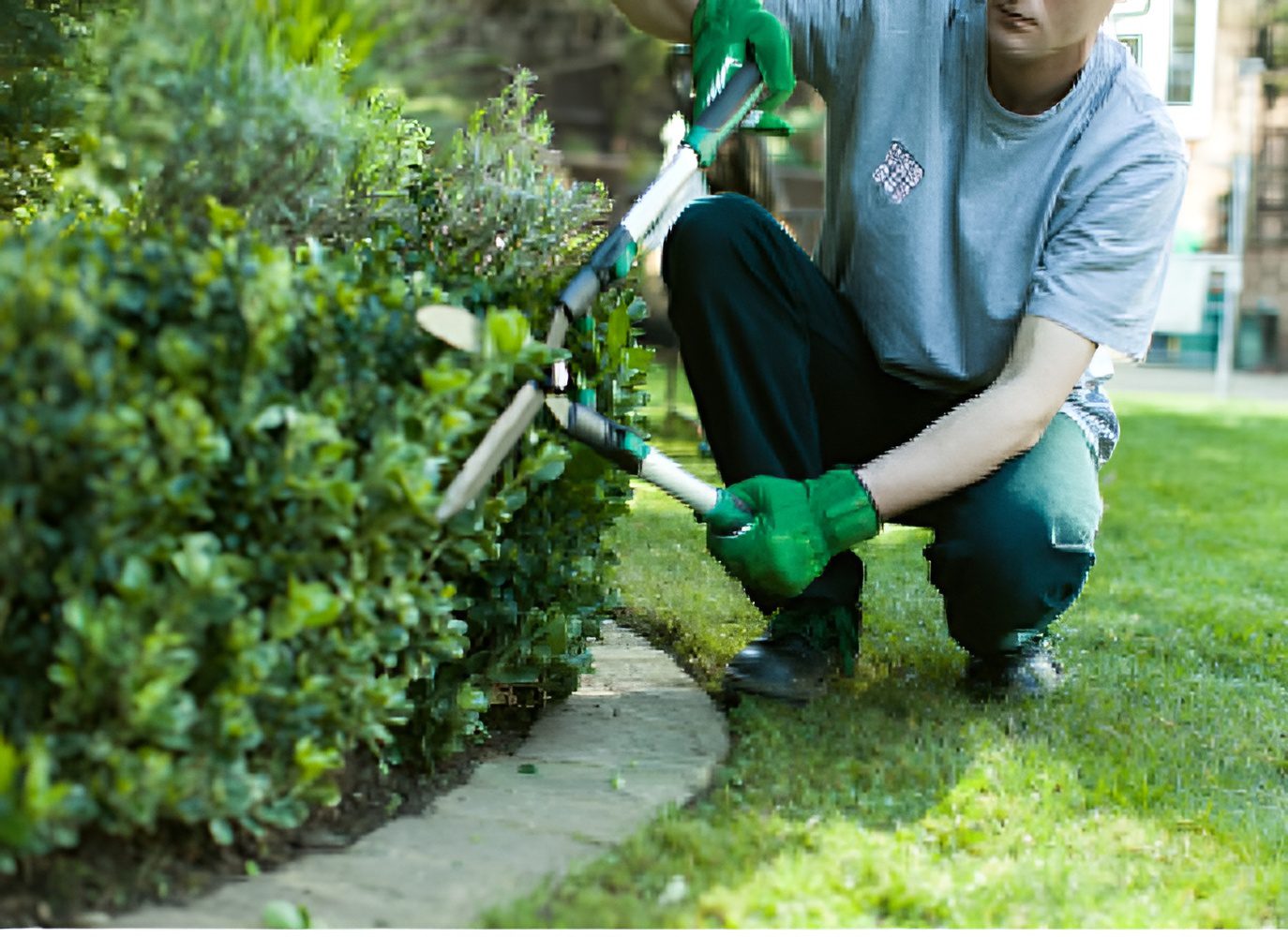 gardening-services