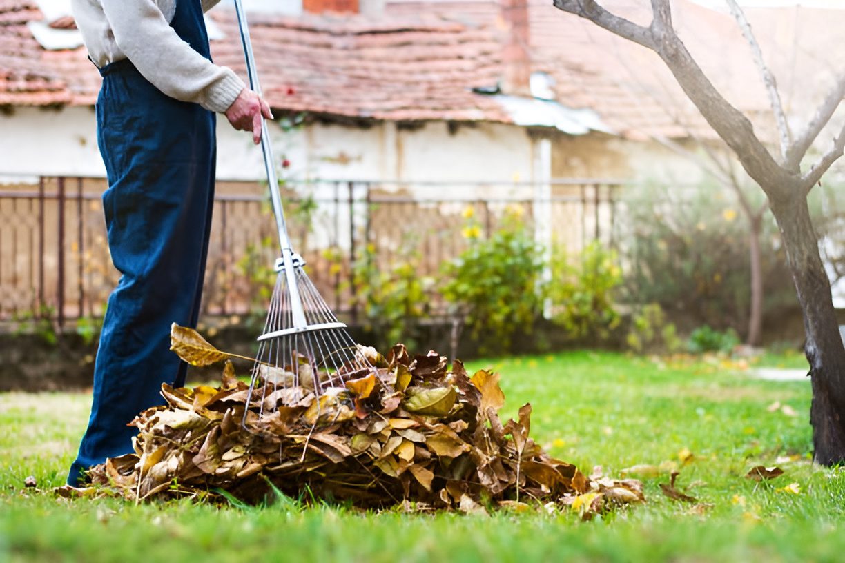 istockphoto-1033111894-612×612