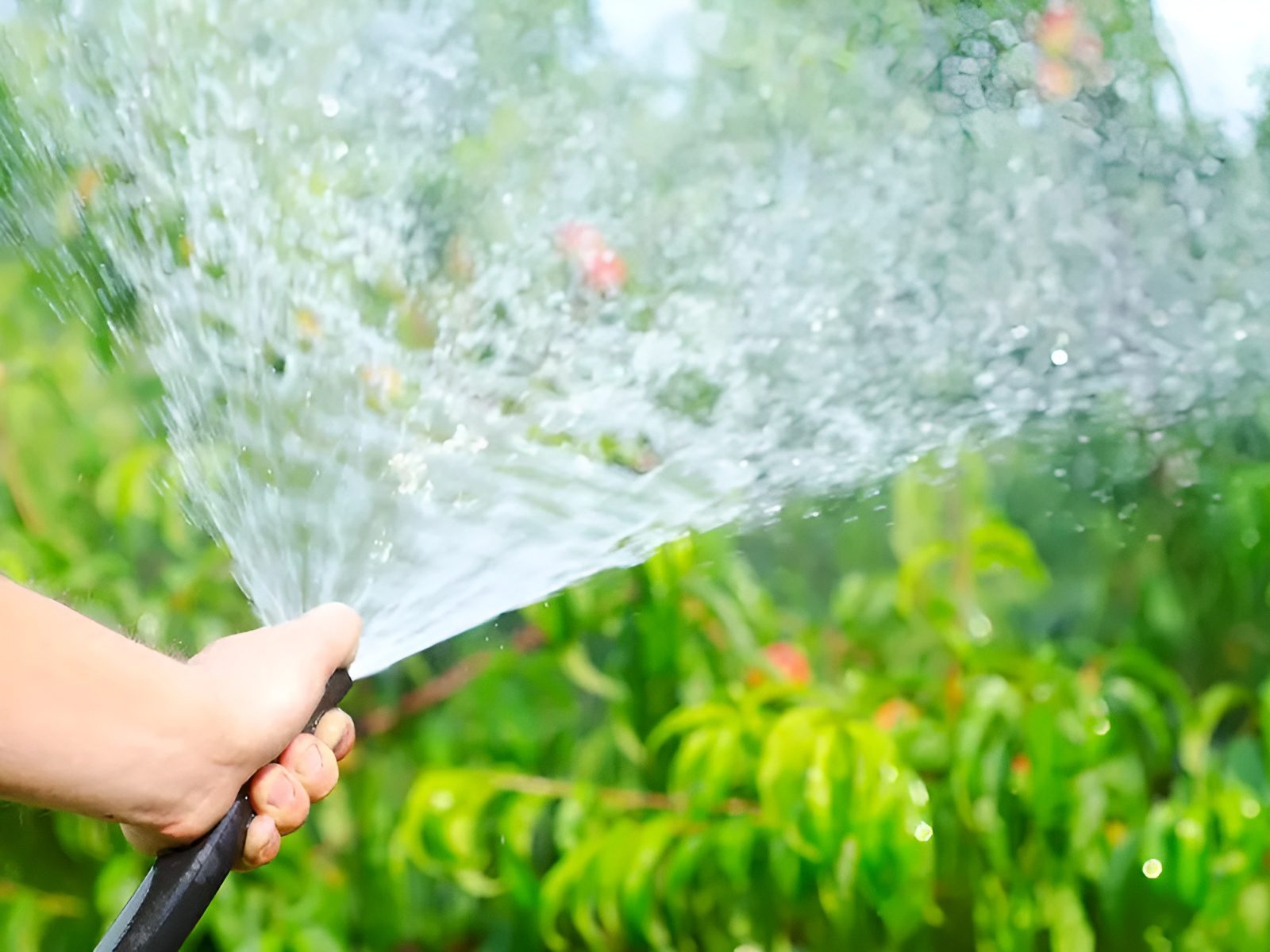 water-garden-hose-shutterstock-140178775___27204419524